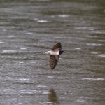 May 01, 2016-0093-Edit.jpg