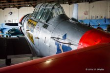 D71_9396.jpg