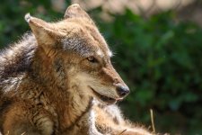 _DSC3971-Edit - Copy.jpg