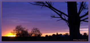 Sunset #3 5-1-2016.jpg