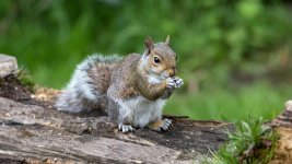 May 01, 2016-0041-Edit-Edit.jpg