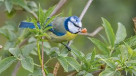 May 01, 2016-0072-Edit.jpg