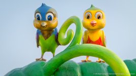 love birds-1.jpg