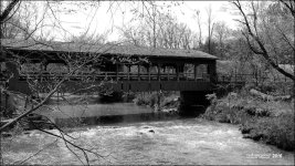 5-3-16 Metro Park   1.2SM.jpg