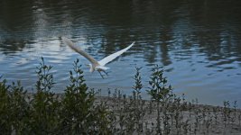 DSC_2126.jpg