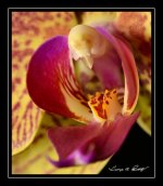 W_DSC_00127.jpg