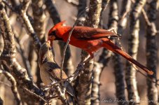 DSC_8873.jpg