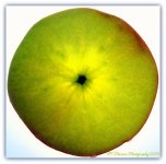 Apple Slice 5-4-2016.jpg