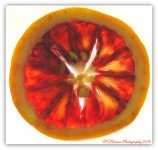 Blood Orange Slice 5-4-2016.jpg