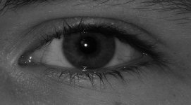 DSC_0003.jpg