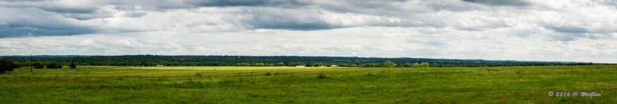 D71_9548-Pano.jpg