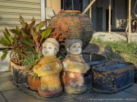 welcome neighbor coolpix -1.jpg