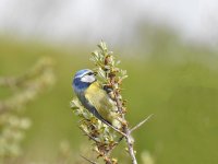 DSCN2757.jpg