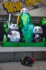 DSC_3498.jpg