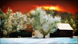 5-6-16 Penninsula IR    9.2sm.jpg