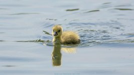 May 08, 2016-0049-Edit.jpg