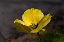 May 08, 2016-0208.jpg