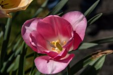 May 08, 2016-0204-Edit.jpg