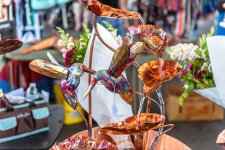 Cattanooga Farmers Market-4601.jpg