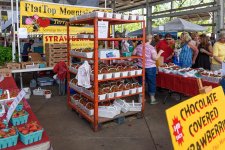 Cattanooga Farmers Market-4595-2.jpg