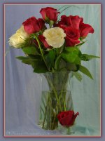 Red and White Roses Bouquet 5-8-2016.jpg