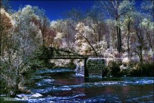 5-6-16 Penninsula IR    13.1sm.jpg