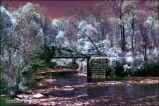 5-6-16 Penninsula IR    13.3sm.jpg