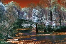 5-6-16 Penninsula IR    13sm.jpg
