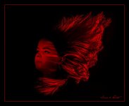 W_DSC_5624V2.jpg