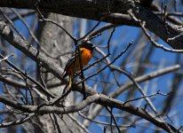 DSC_4912.jpg