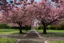 May 08, 2016-0129-Edit-Edit.jpg