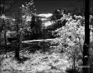 5-6-16 Penninsula IR    14.4.jpg