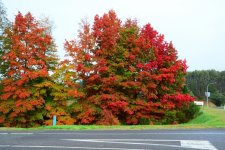DSC_2700.jpg
