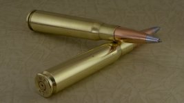 DSC_7132.jpg