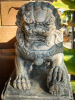 morning walk-5.jpg