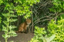 DSC_1112.jpg