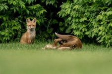 DSC_1396.jpg