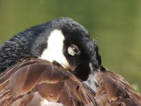 DSCN9215.jpg