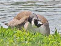 DSCN9230.jpg