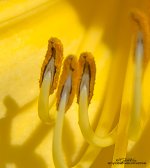 2015163-3835.jpg