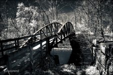 5-6-16 Penninsula IR    23.1.jpg
