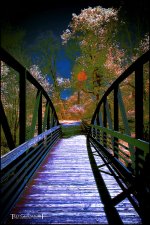 5-6-16 Penninsula IR    24.1.jpg