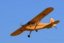 5-10-16-cr__D7K3431.jpg