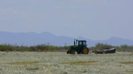 5-13-16-cr_D7K3454.jpg