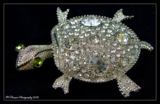 Crystal Turtle 5-14-2016.jpg