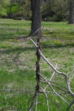 DSC_4977.jpg