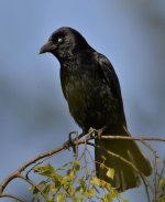DSC_0128.jpg