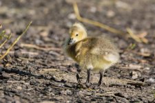 May 15, 2016-0032-Edit.jpg