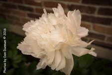 20160515-7364.jpg