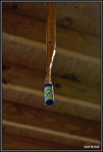 210073d1462568961t-weekly-challenge-may-4-may-11-sticky-fly_ppr.jpg